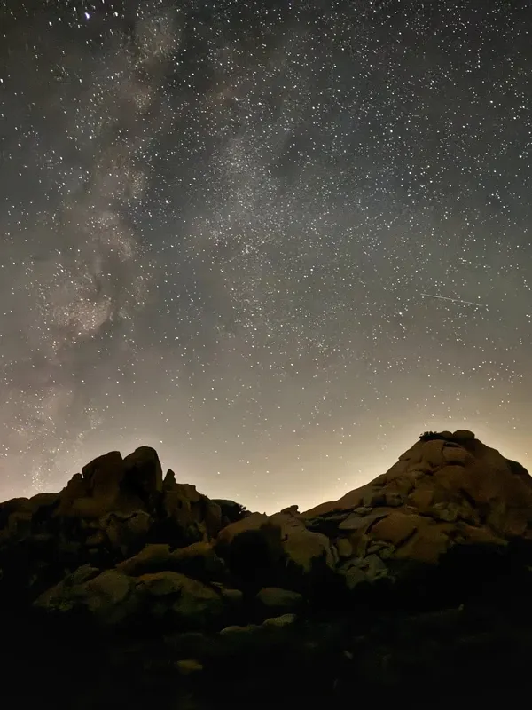 Joshua Tree visitor photo 2