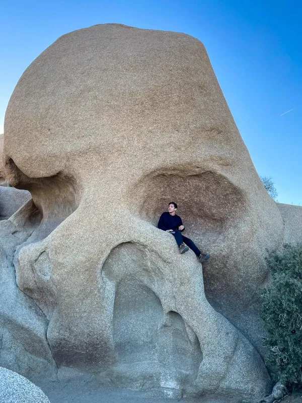 Joshua Tree visitor photo 3
