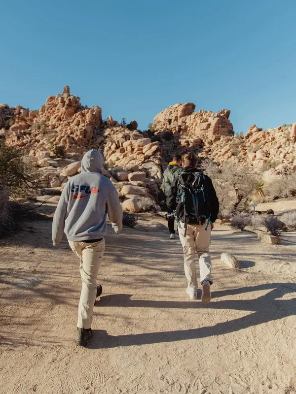 Joshua Tree visitor photo 6